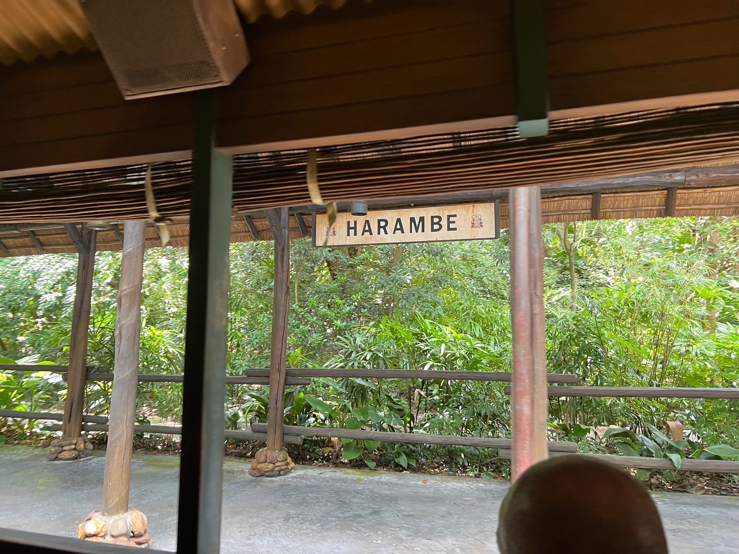 On the train at Harambe.