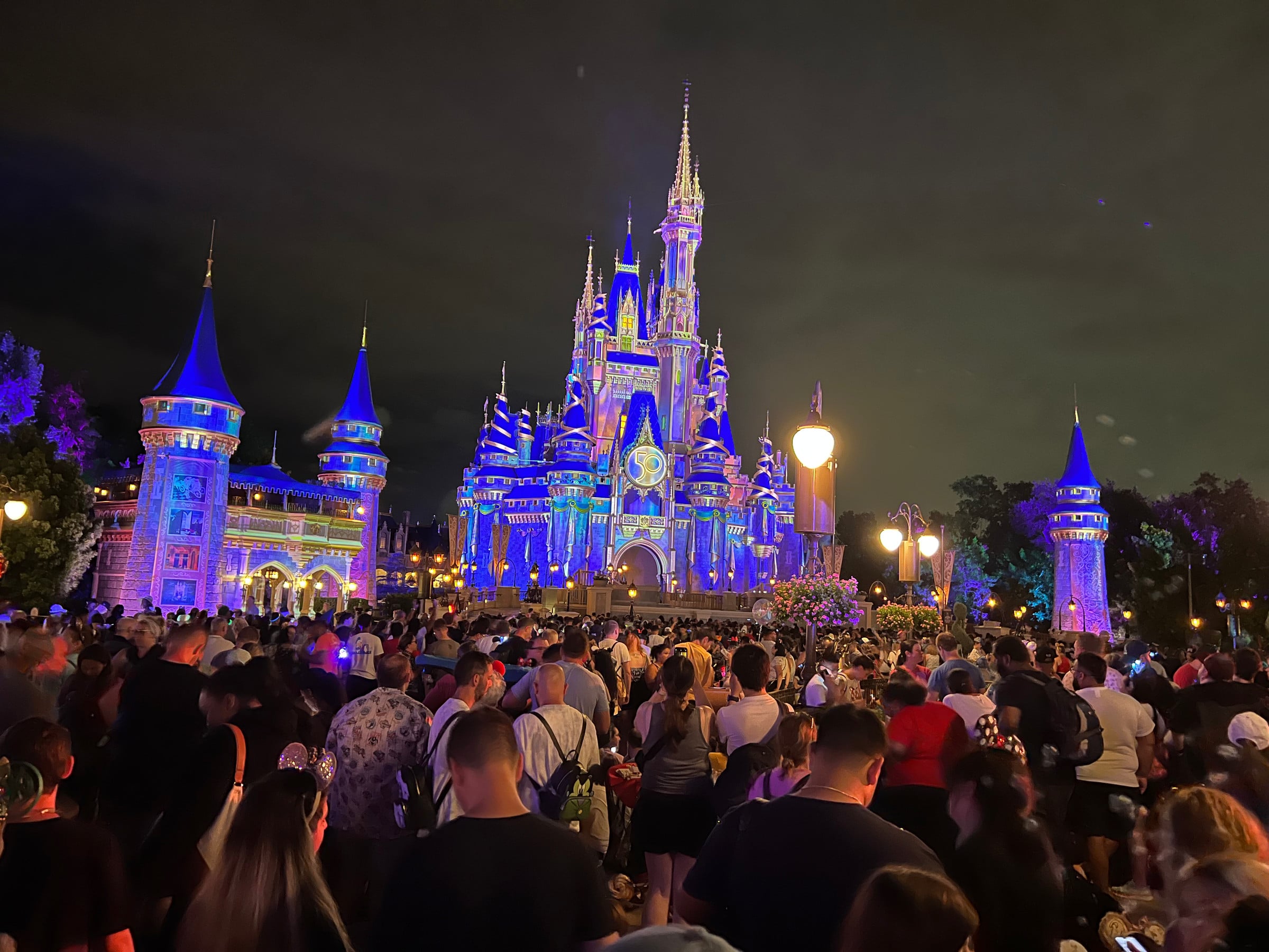 Magic Kingdom in blue and purple.