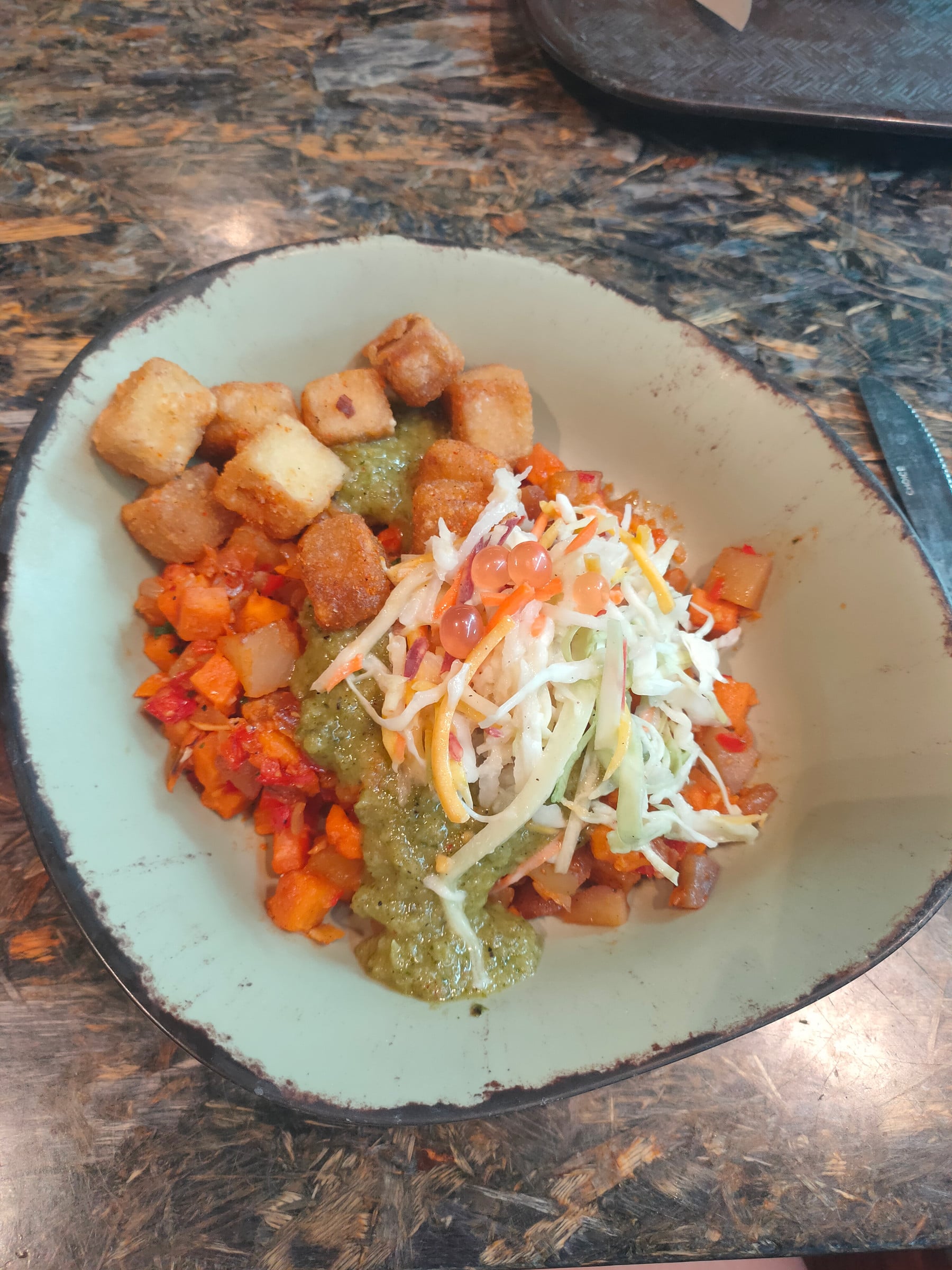 A rice bowl during another visit to Animal Kingdom.