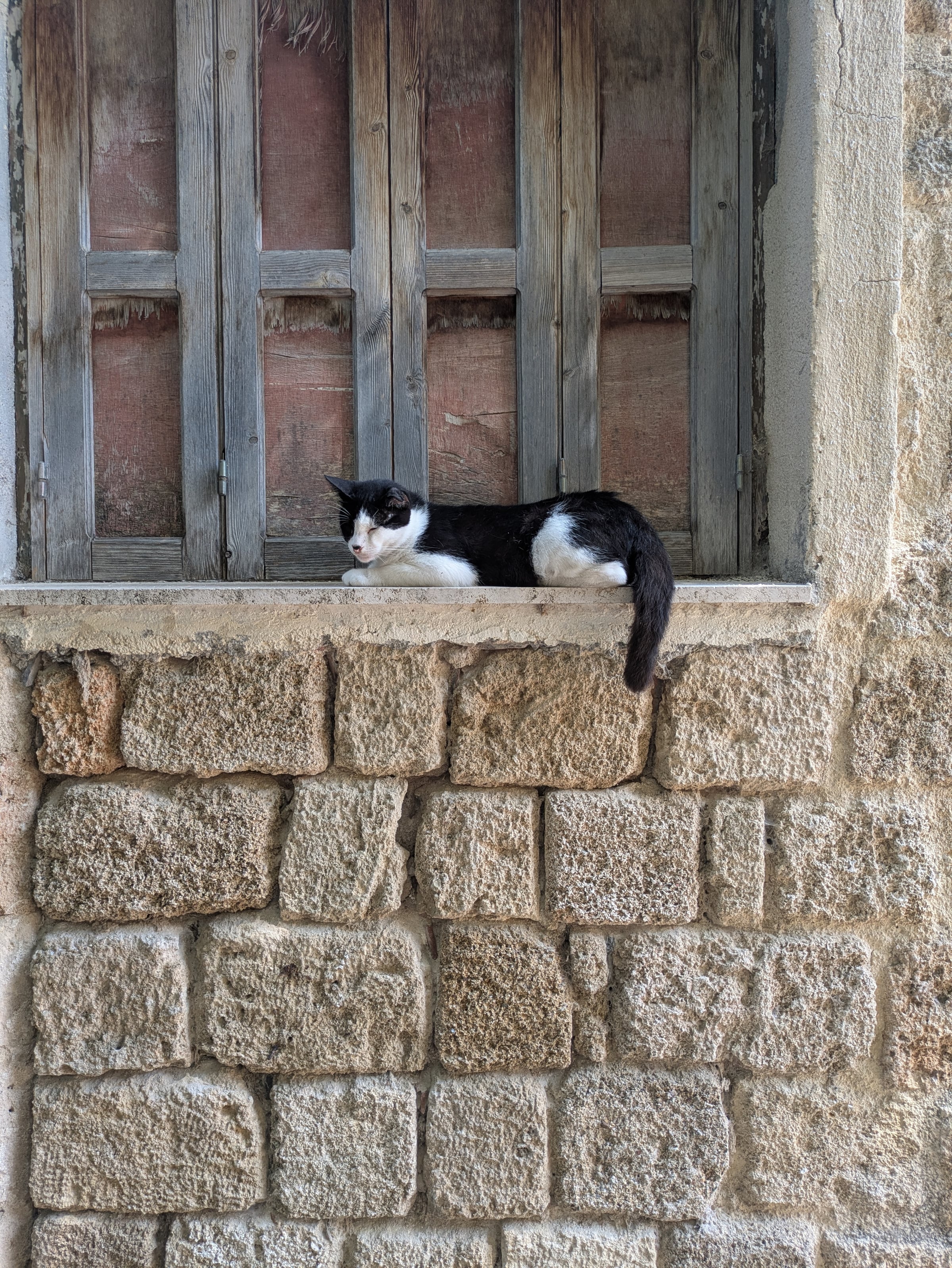 A black-and-white cat stretched out on a window ledge in Rhodes.