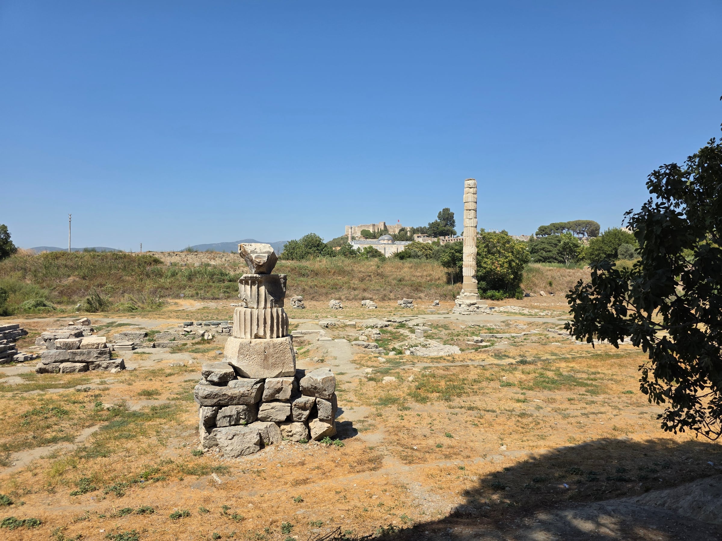 The remaining column at the Temple of Artemis.