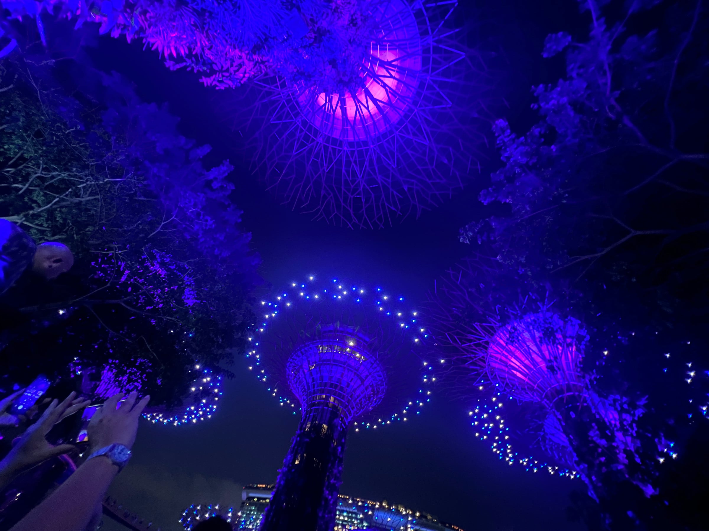 Looking up during the evening light show.