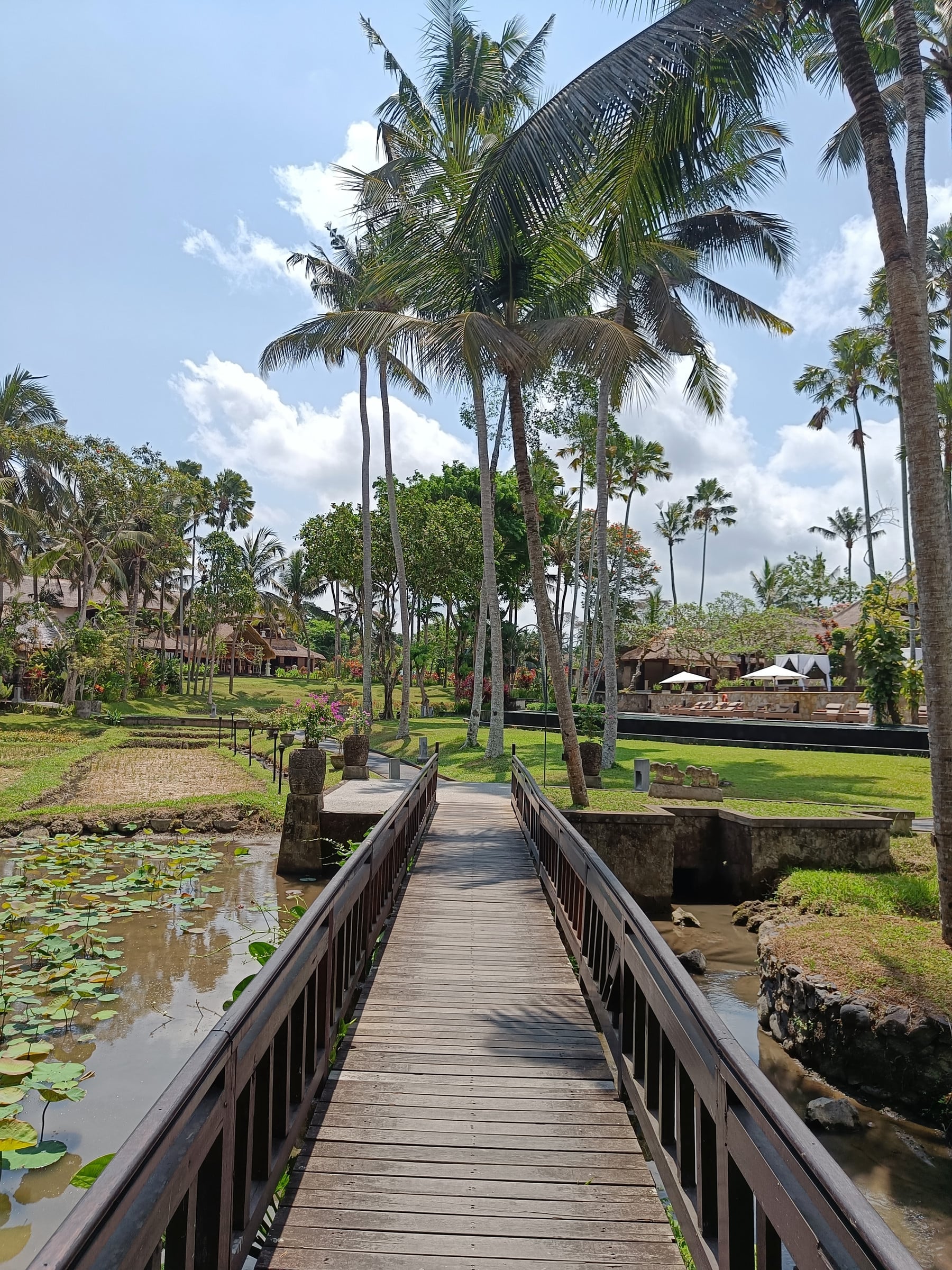 A slower day around the Ubud resort.