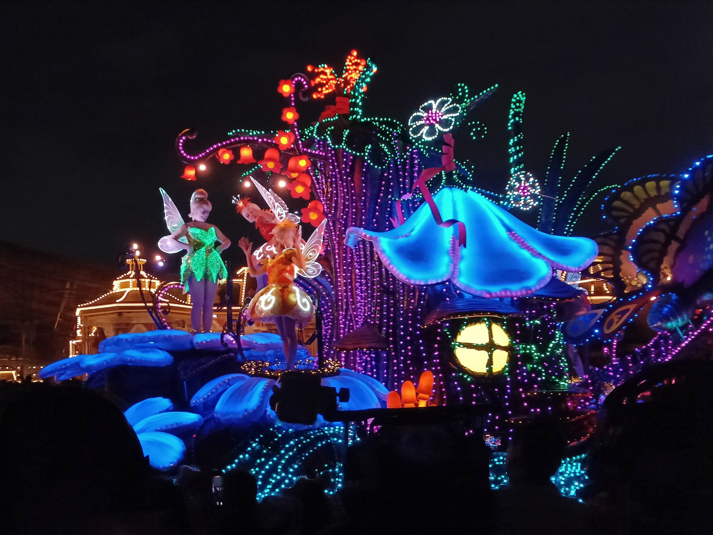 Genie in the evening parade.