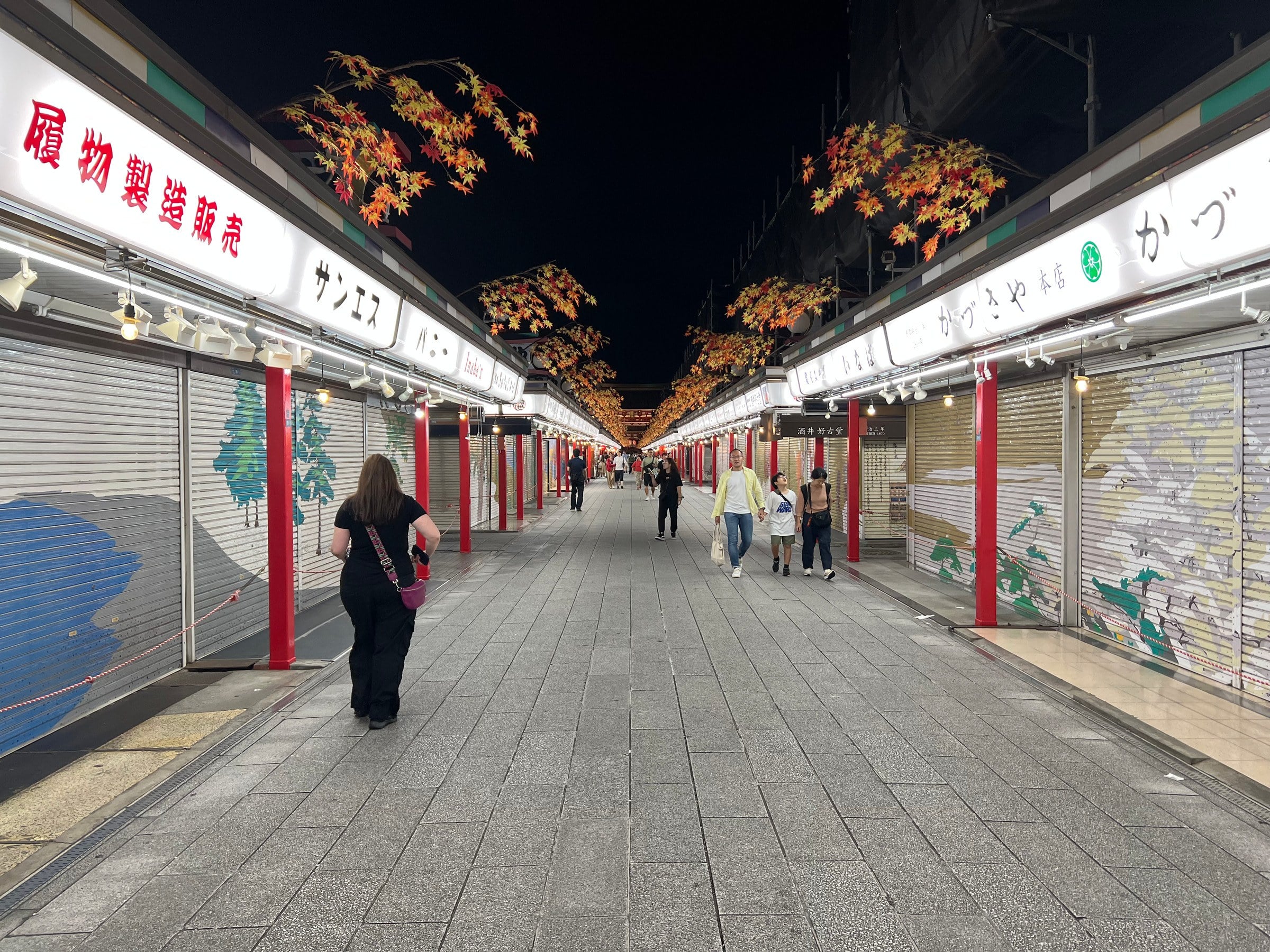 The painted shutters along the shopping street.