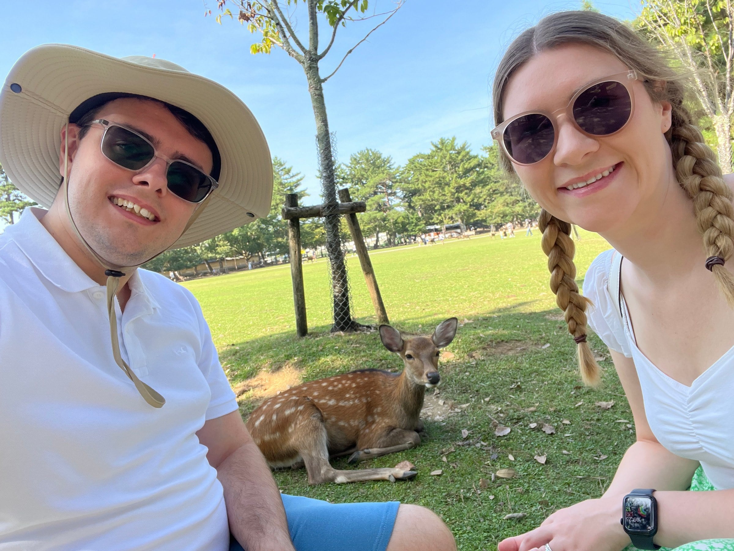 Taking a quieter moment with a deer in Nara.