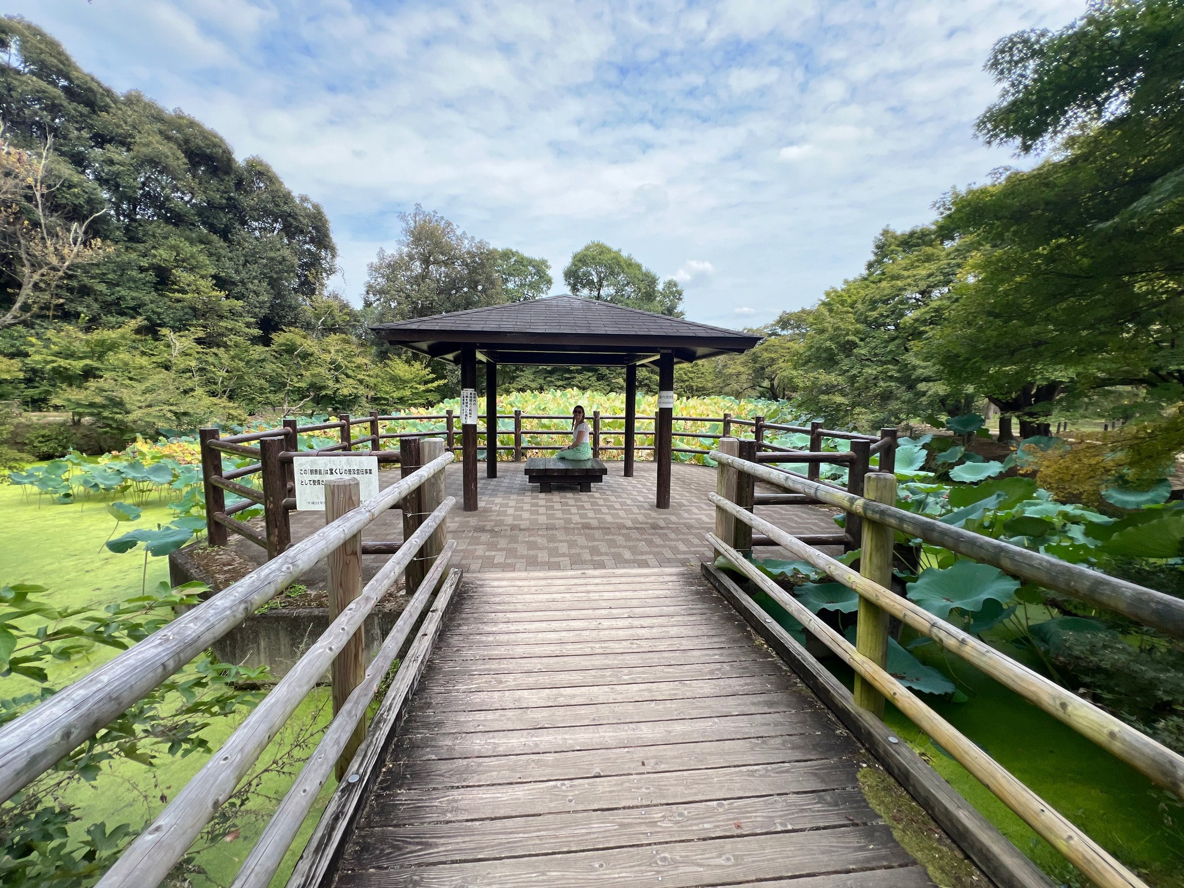 A wooden bridge in Kyoto Botanical Gardens.
