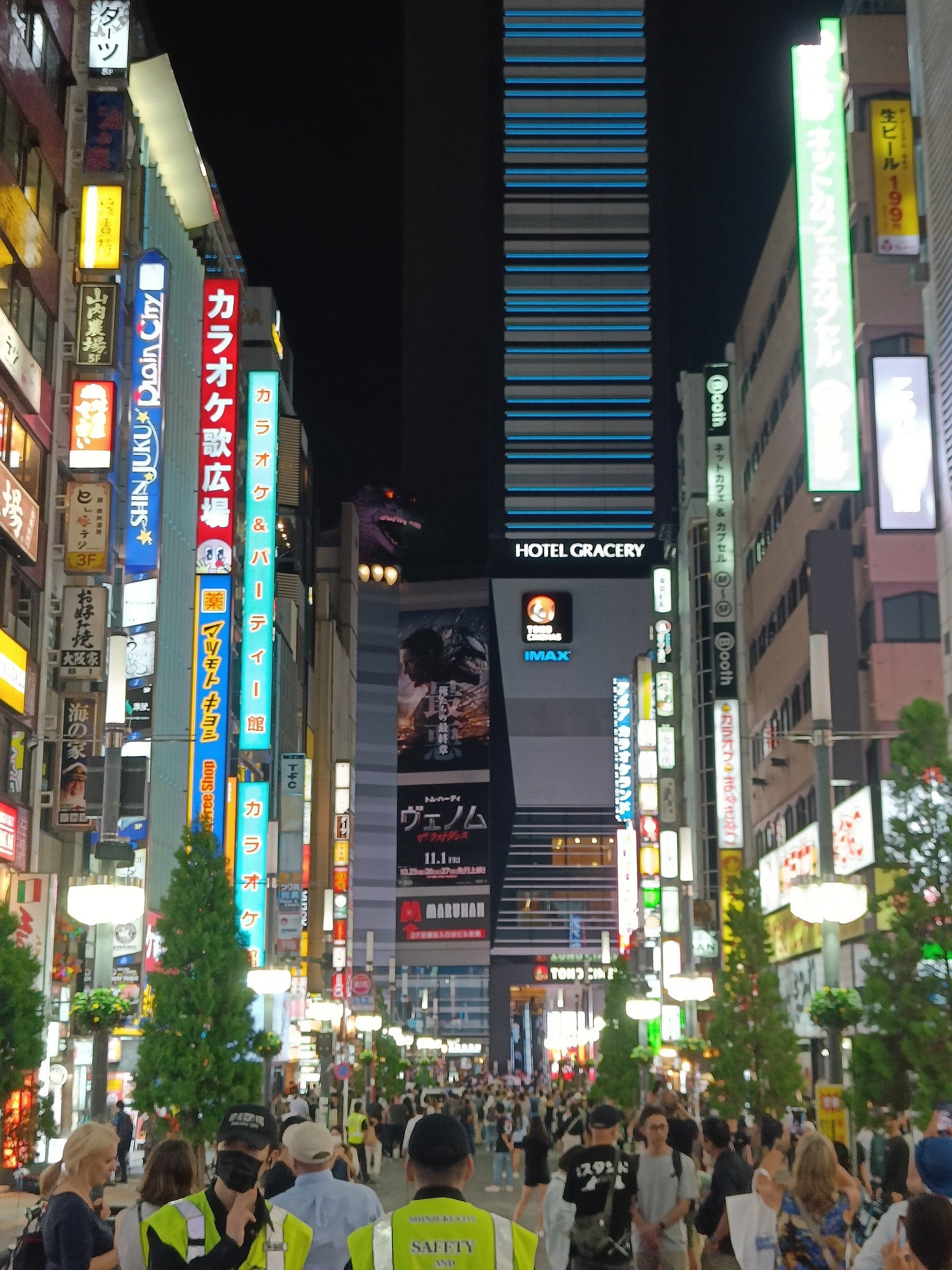 Shinjuku after dark.