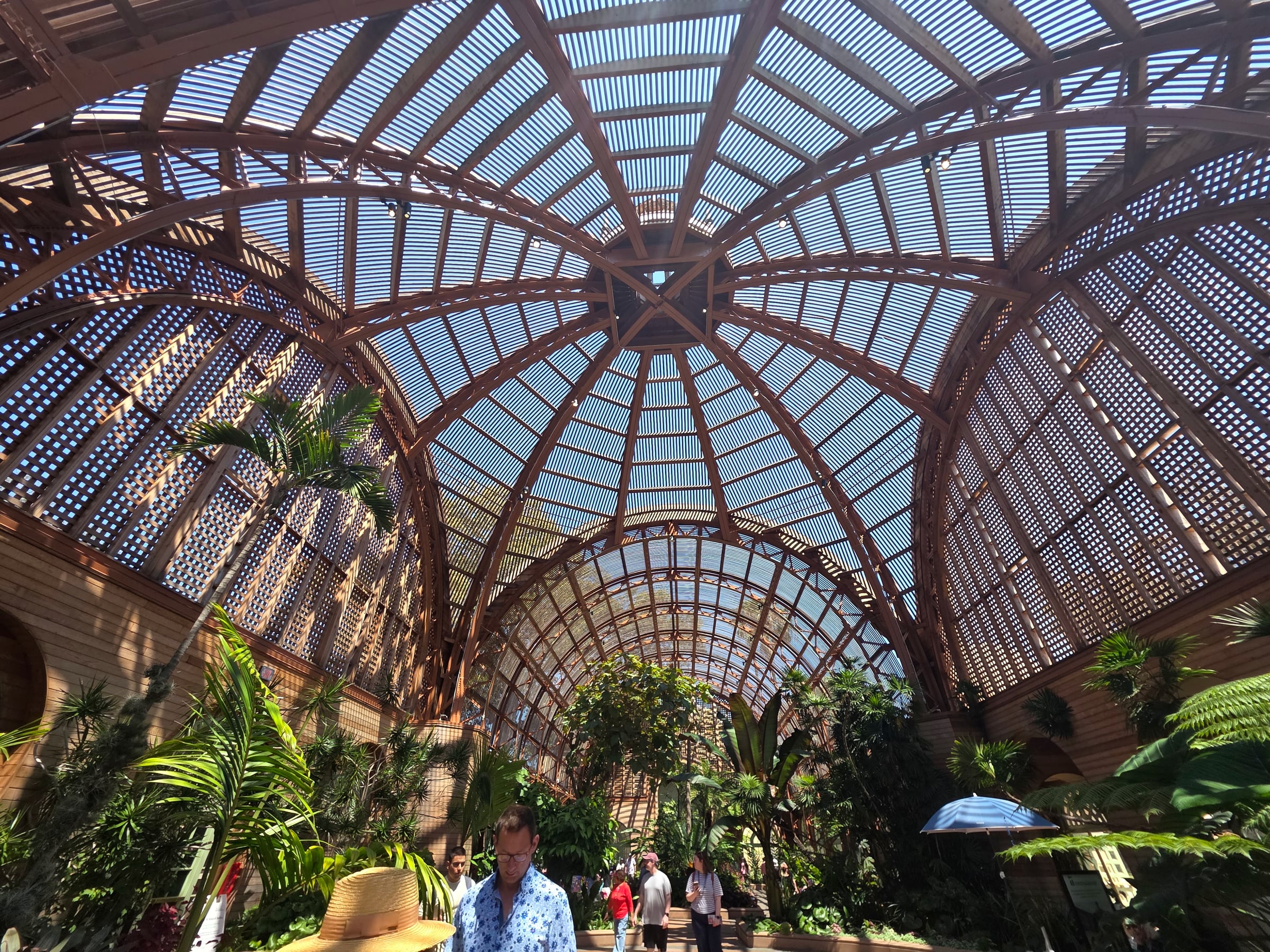 Inside the Botanical Building at Balboa Park.