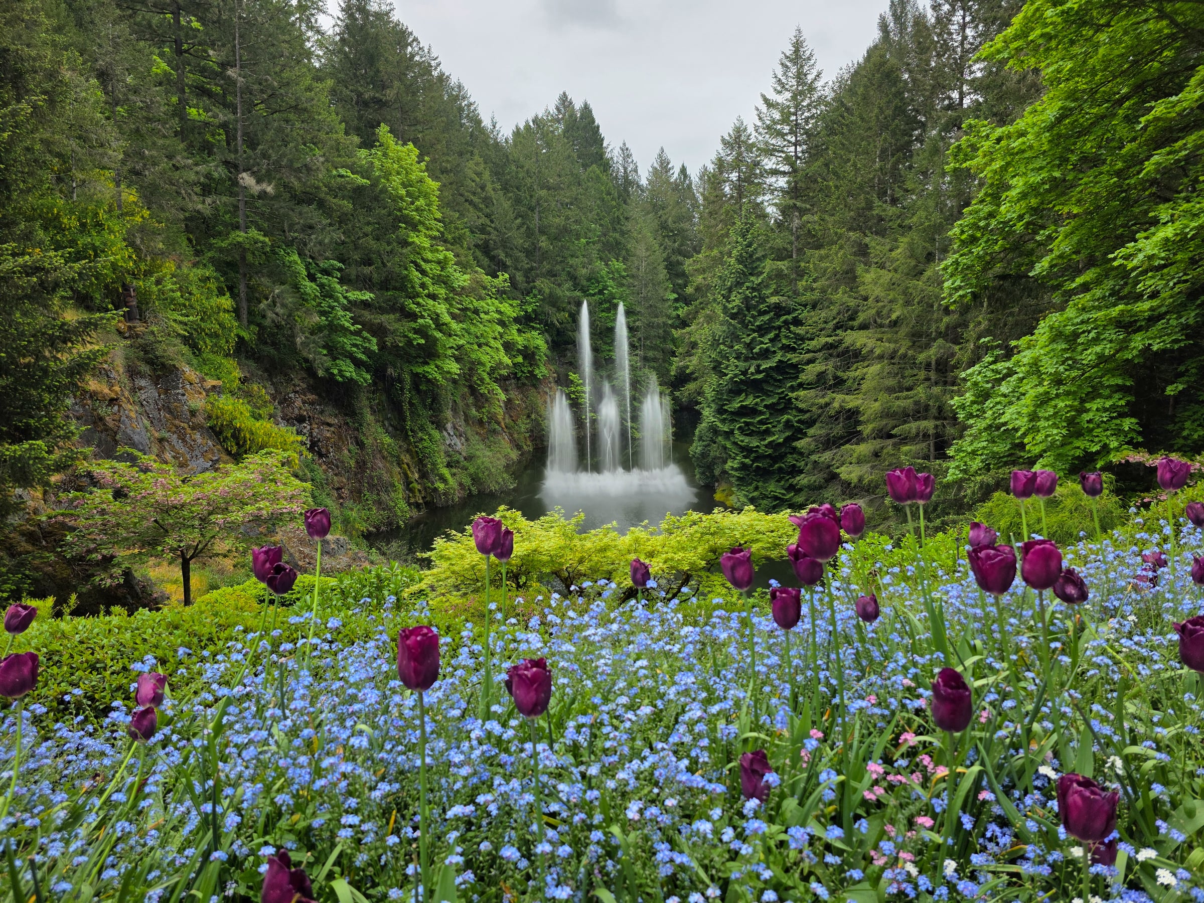 Spring flowers around the fountain.