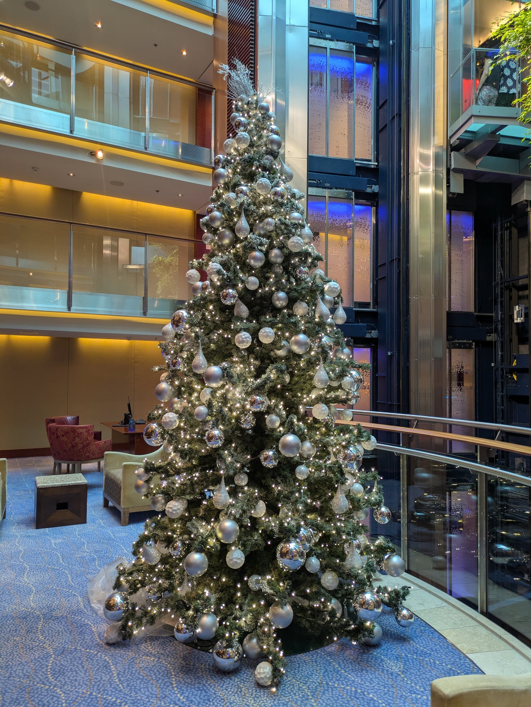 Christmas in Solstice's atrium.