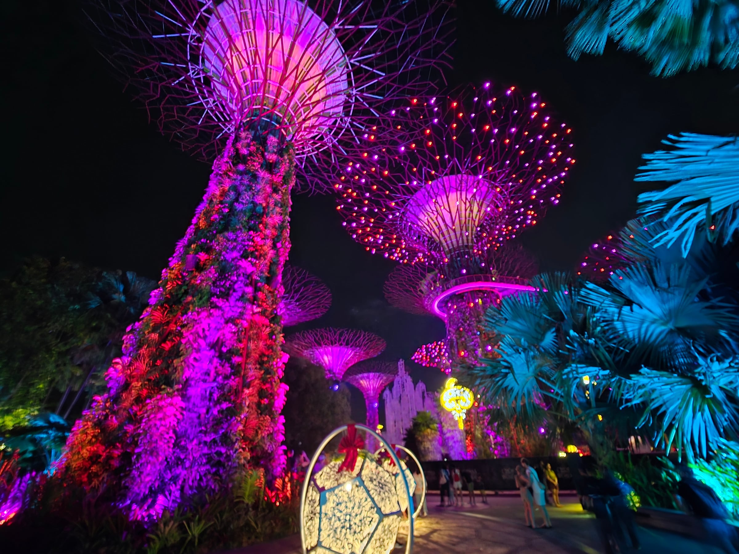 The Supertrees after dark.